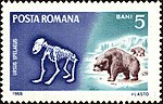 Medvěd jeskynní na poštovní známce Rumunska