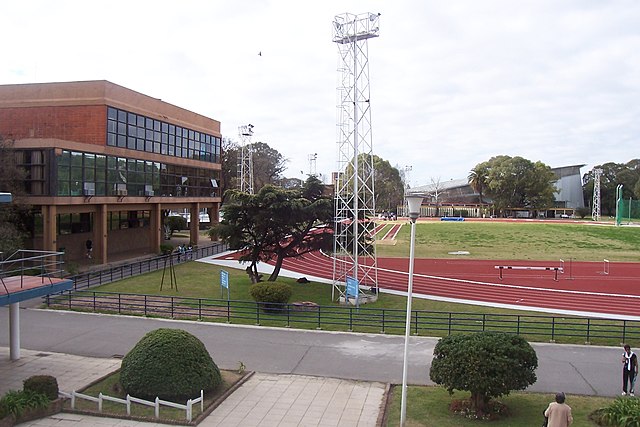 2011 South American Championships in Athletics