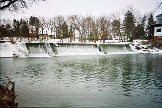 Cedar River vicino a Austin, Minnesota