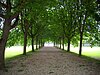 Châlons - Grande jardim (2) .JPG