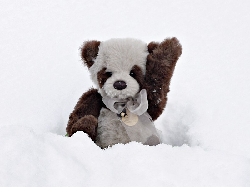 File:Charlie Bear in the snow.jpg