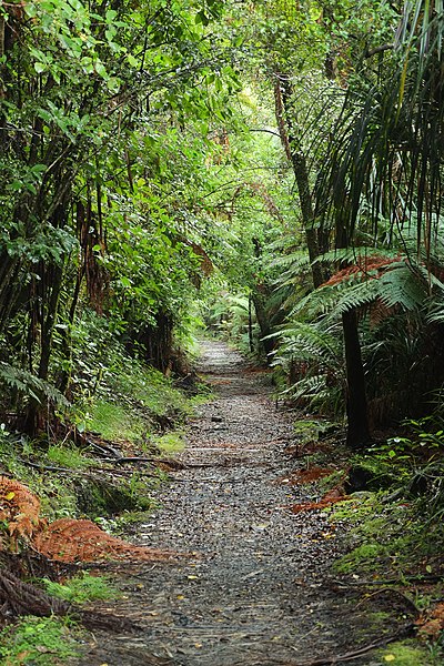 File:Charming Creek Walkway.jpg