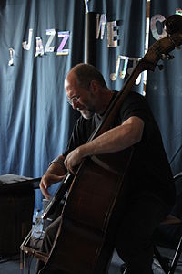 Christoph Niemann bei einem Konzert in Bad Marienberg (Westerwald), August 2011