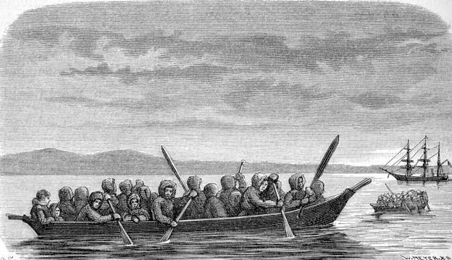 Chukchi boats by Olof Sörling, 1880, from Nordenskiöld's book of the expedition. The Vega in the background was equipped with sail as well as steam po