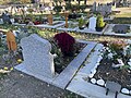 Carré musulman du cimetière de Saint-Denis.