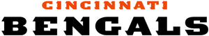 Cincinnati Bengals wordmark (c. 2004).png