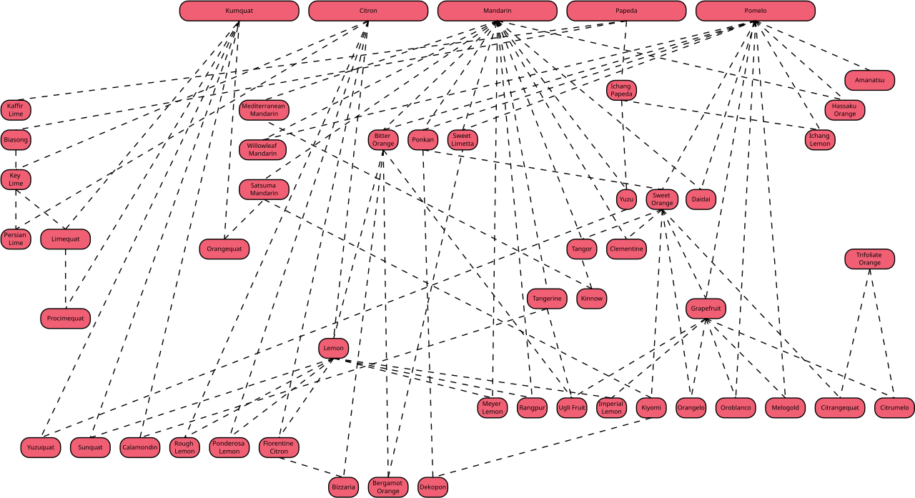 Download File:Citrus Family Tree.svg - Wikimedia Commons