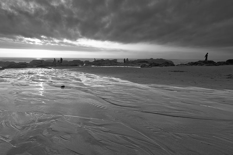 File:Clearing the beach (4012970989).jpg