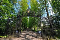 The Avenue of lime and cherry trees, and wrought iron gate to Queen's Road viewed from the Backs.