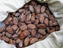 Cocoa beans