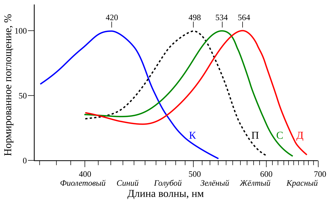 File:Cone-response-ru.svg