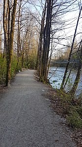 One of the many recreational trails along to the Coquitlam River