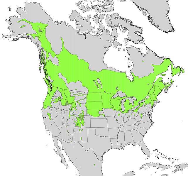 File:Cornus sericea ssp sericea range map.jpg