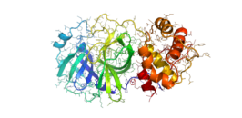 Coronavirus 2019-nCoV.2.png