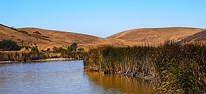 Coyote Hills