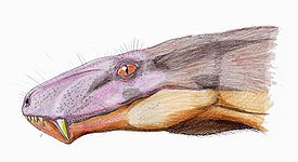Реконструкция Cyonosaurus longiceps