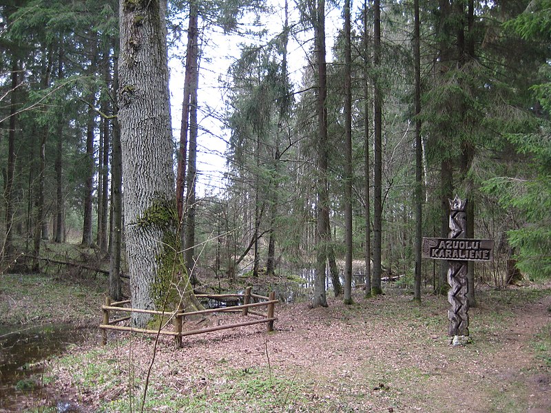 File:Dūkštų sen., Lithuania - panoramio (9).jpg