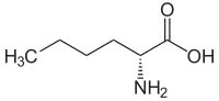 D-Norleucin.svg