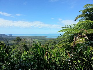 Equatorala E Tropikala Foresti