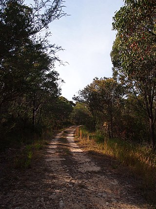 <span class="mw-page-title-main">Daleys Point, New South Wales</span> Suburb of Central Coast, New South Wales, Australia