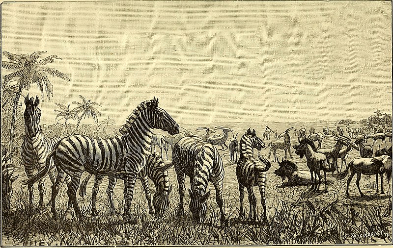File:De Angola á contra-costa; descripção de uma viagem atravez do continente africano (1886) (20851032331).jpg