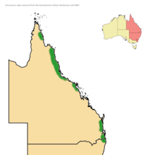 Dendrocnide-moroides-distribution-map.png