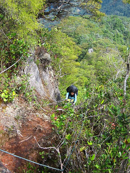 File:Descent via Gunung Tangga Lima Belas.jpg