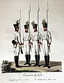 Német sorgyalogság az 1809-1835 között rendszeresített egyenruhában. 1836-tól kék színű nadrágot és egyenes oldalú csákót viseltek.