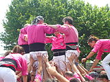 Diada castellera de les festes de primavera del 2014 a Sant Feliu de Llobregat. Hi actuaven els Castellers de Sant Feliu (camisa rosa), els Castellers de Viladecans (camisa verda) i els Castellers de Santa Coloma (camisa blau cel).Template:Location dec