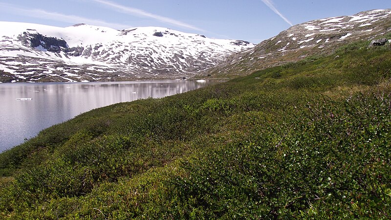 File:Djupvatnet - panoramio (6).jpg