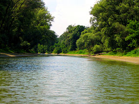 Donau-Auen-Hainburg2-neu.jpg