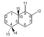 Drimano - Numaralandırma.png