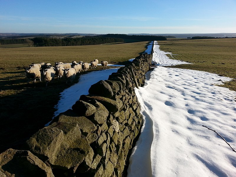 File:Dry Stone wall heading south from Barleyhill - geograph.org.uk - 4342389.jpg