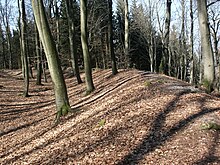 Ringwallanlage Dünsberg auf dem früher von Kelten besiedelten Dünsberg