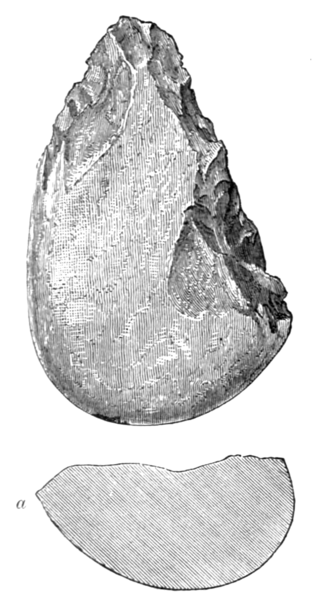 File:Early Man in Britain and His Place in the Tertiary Period - Fig. 43.—Quartzite Hâche, Robin Hood Cave.png