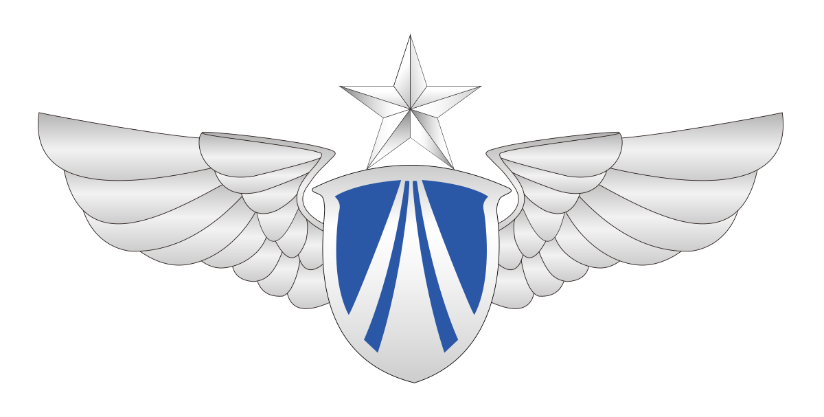 USAF 11th INTELLIGENCE SQUADRON Hurlburt Fld DOD FL-ORIGINAL AIR FORCE PATCH