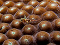 47 Emblemariopsis carib (Caribbean Flagfin Blenny) uploaded by Nhobgood, nominated by Citron