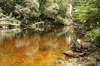 Emu River (Tasmania) river in Tasmania, Australia