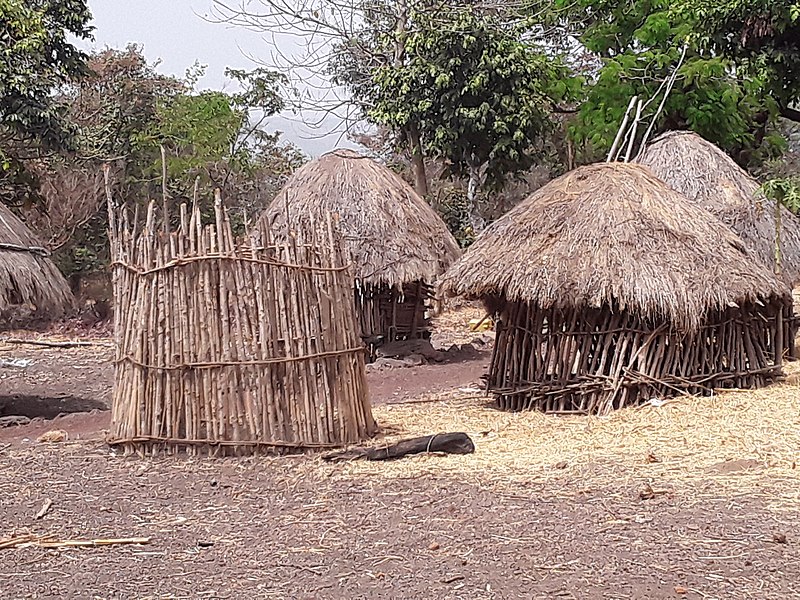 File:Enclos pour bétaille (Missidé lenguéwi).jpg