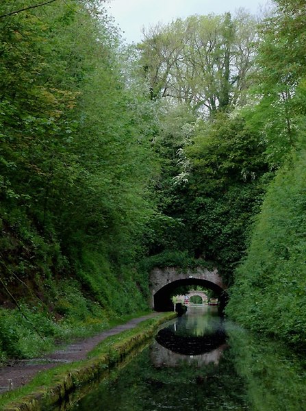 File:Entering Cowley Tunnel near Gnosall, Staffordshire - geograph.org.uk - 1387781.jpg