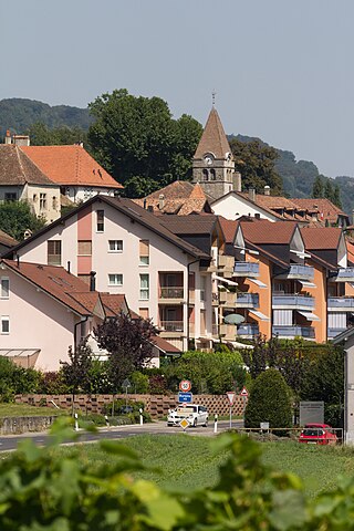 <span class="mw-page-title-main">Bursins</span> Municipality in Vaud, Switzerland