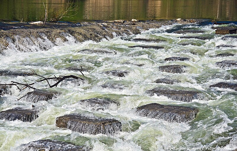 File:Escada de Peixe - Rio Mondego - Portugal (50356319228).jpg