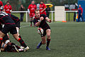 * Nomination The scrum half extracts the balls from a ruck and then pass it. Rugby union french championship of U21, Stade toulousain vs Lyon OU --PierreSelim 09:06, 9 February 2013 (UTC) * Promotion Good quality. --Poco a poco 10:50, 9 February 2013 (UTC)