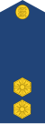 Estonsko-AirForce-OF-1a.svg