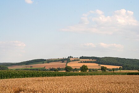 Euzenberg 2009 08 04