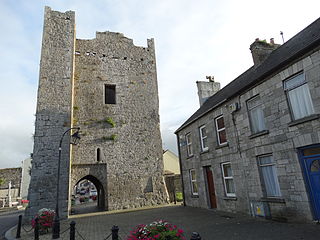 <span class="mw-page-title-main">King John's Castle (Kilmallock)</span> Tower house/peel tower in County Limerick, Ireland