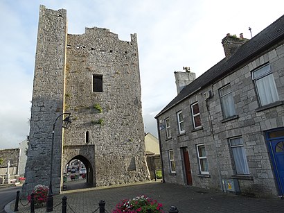 How to get to King Johns Castle Kilmallock with public transit - About the place