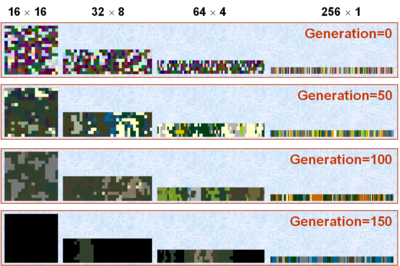 Cellular evolutionary algorithm