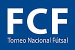 Miniatura para Torneo Nacional de Futsal (Colombia)