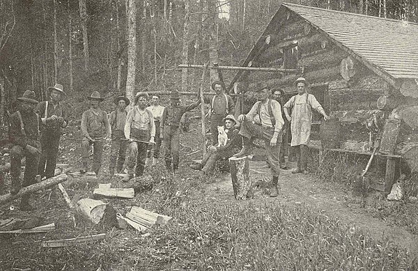 Students and Loggers in Permanent Camp on the Cornell Forest Reserve